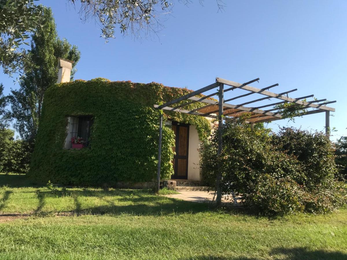 Masseria La Torre Alojamento de Turismo Rural
