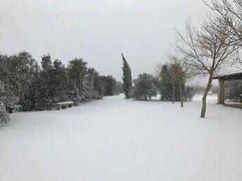 Masseria La Torre * Maglie