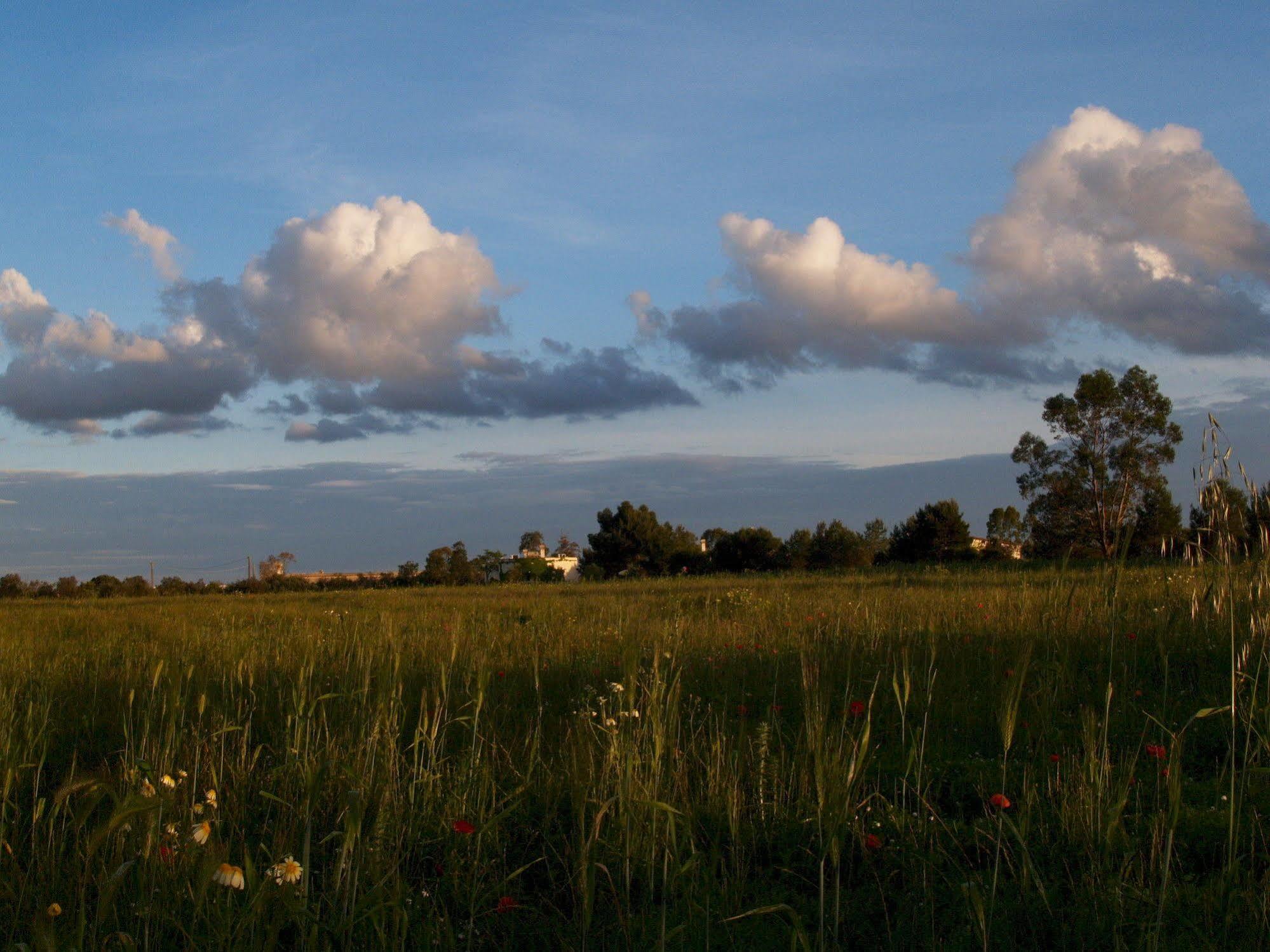 Masseria La Torre Alojamento de Turismo Rural Maglie