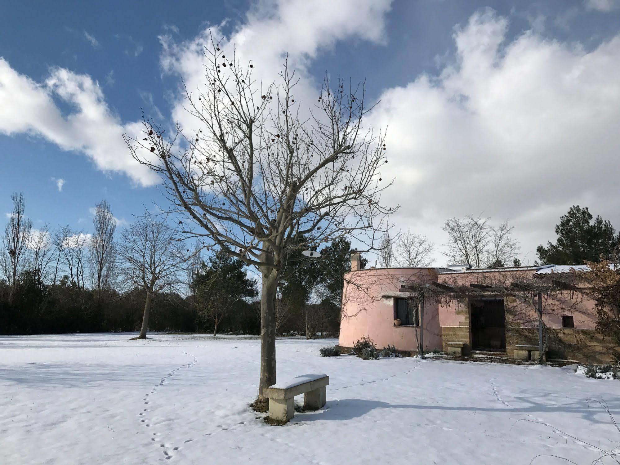 Farm stay Masseria La Torre
