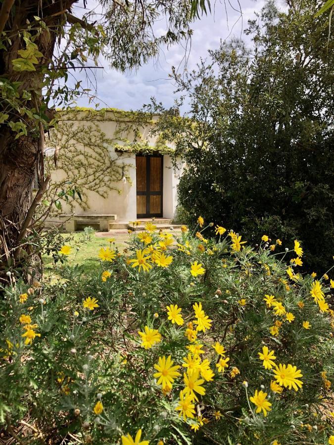 Masseria La Torre Farm stay *